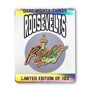 RSVLTS RSVLTS Calgary Fan Expo Enamel Pin in Multicolor — front view